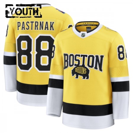 Barn Ishockey Boston Bruins tröja Fanatics NHL Stadium Series Premium David Pastrnak 2025-26 Gold